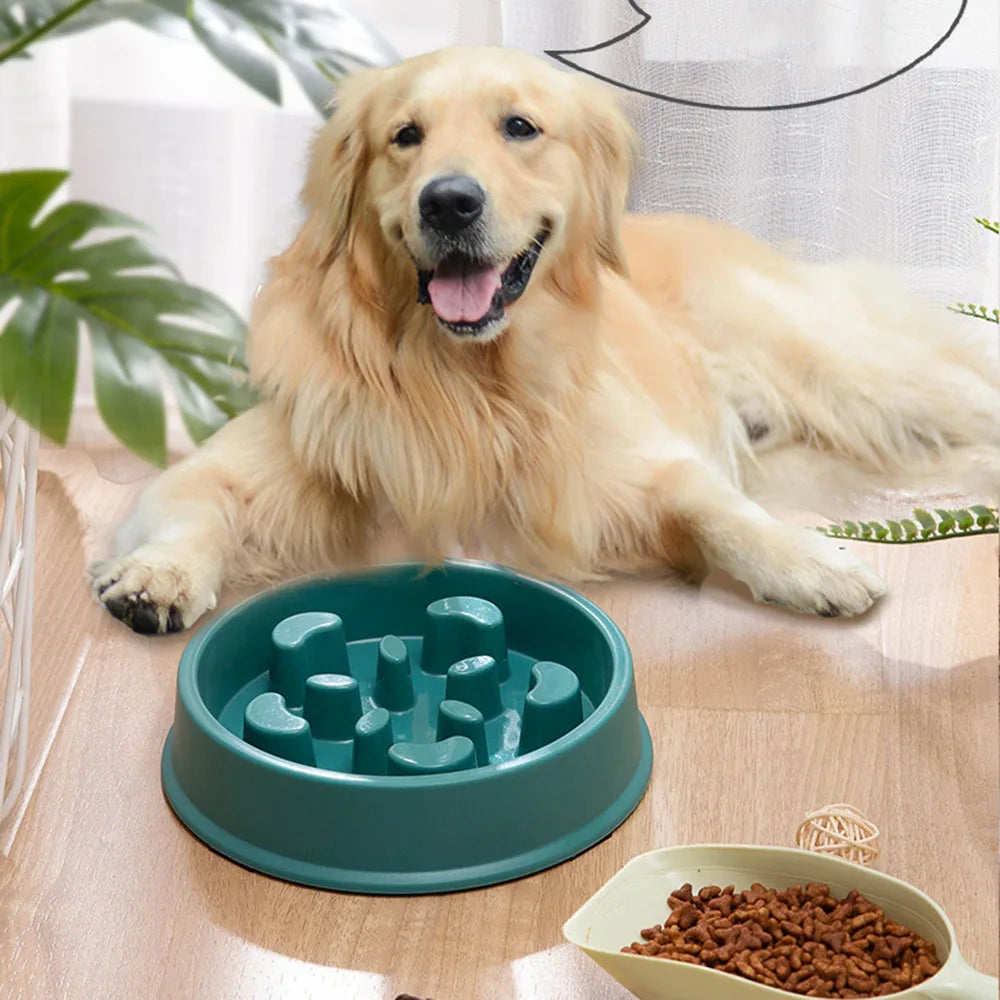 SlowFeast Puzzle Bowl: The Smart Way to Feed Your Dog or Puppy for Slow Feeding - Non-Choking and Non-Slip for Safer Eating