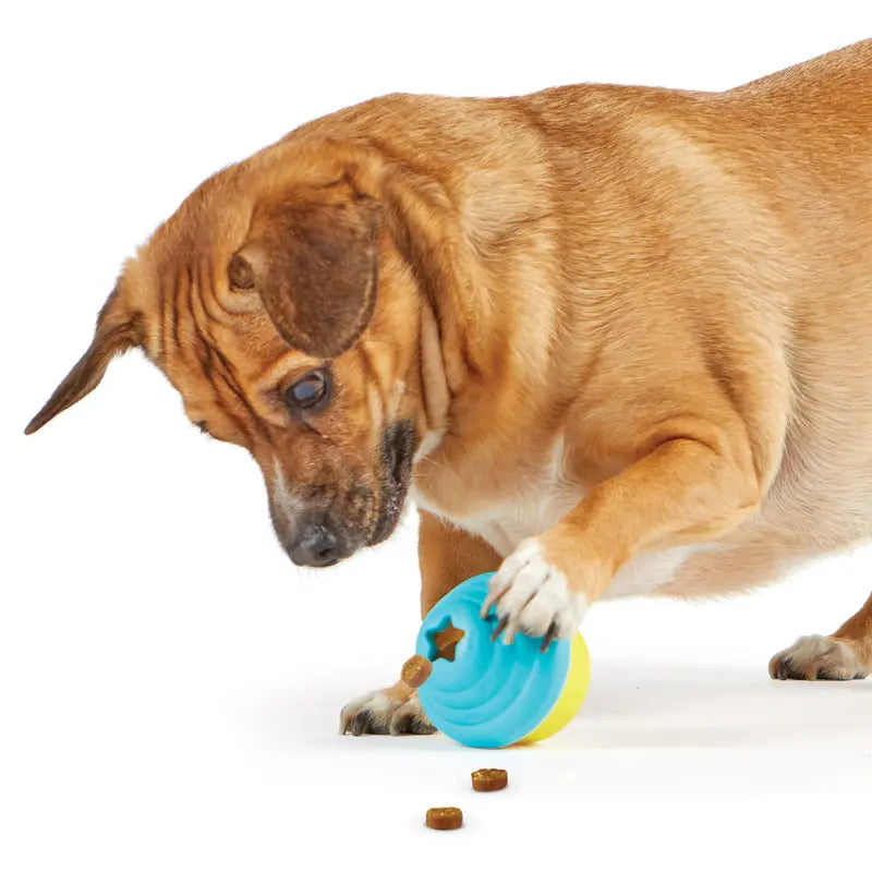 Brightkins Small Cupcake Dog Treat Dispenser